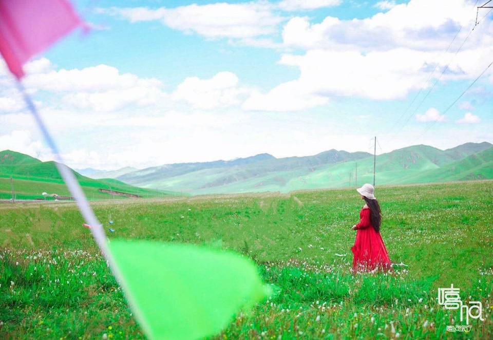 微信图片_20180730195257