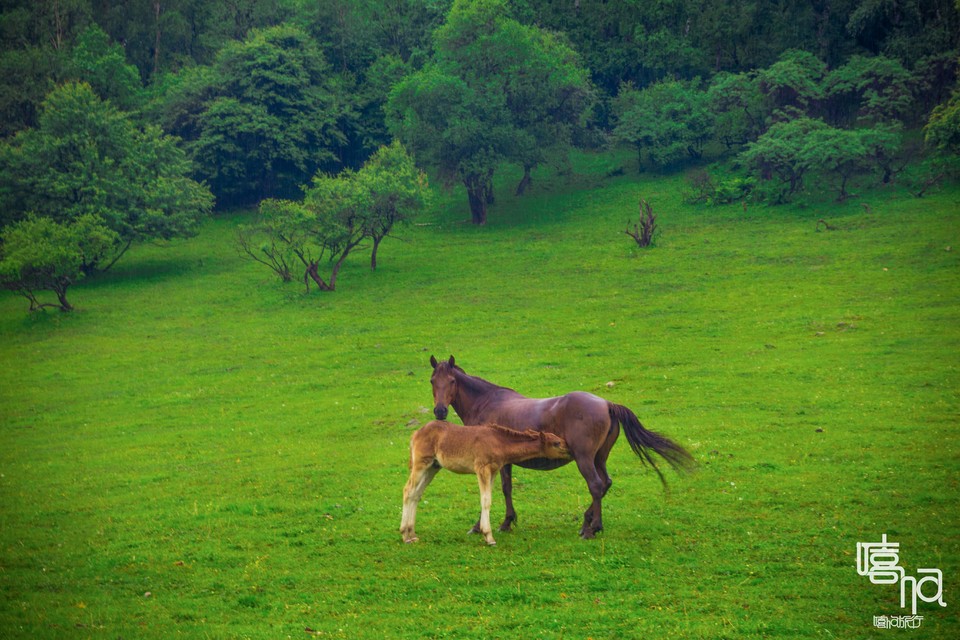 微信图片_20180628185200