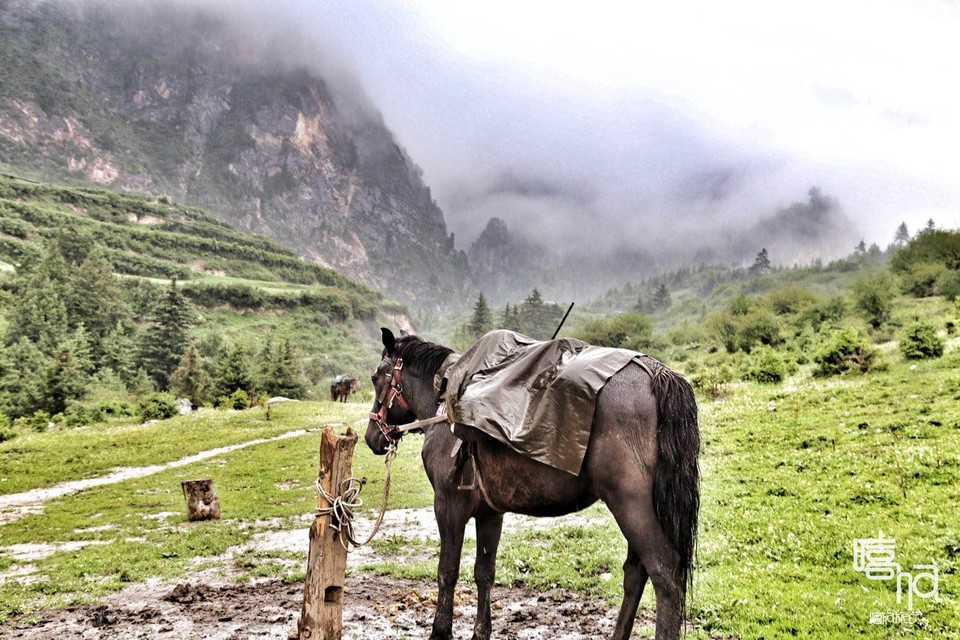 微信图片_20180628185334