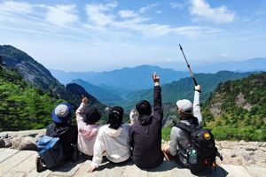 【早鸟-10/人】6.19/20/21 朱雀国家森林公园1日丨上春山赏石海，观草甸，偶遇小松鼠！