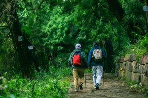 【徒步华夏 · 古蜀道徒步5日】4.15 古蜀道+翠云廊+剑门关+昭化古城+黄泽寺+千佛崖徒步