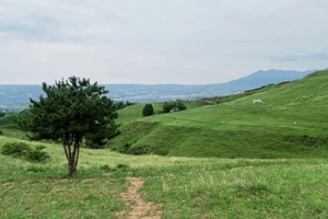 【早鸟-10/人】6.19/20/21 荞麦岭丨打卡《主角》取景地+辋川溶洞探险，清凉又治愈~