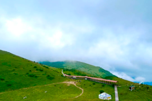 【早鸟-30/人】6.19 留坝2日 | 紫柏山+情人谷+张良庙，打卡高山上的"小伊犁"！