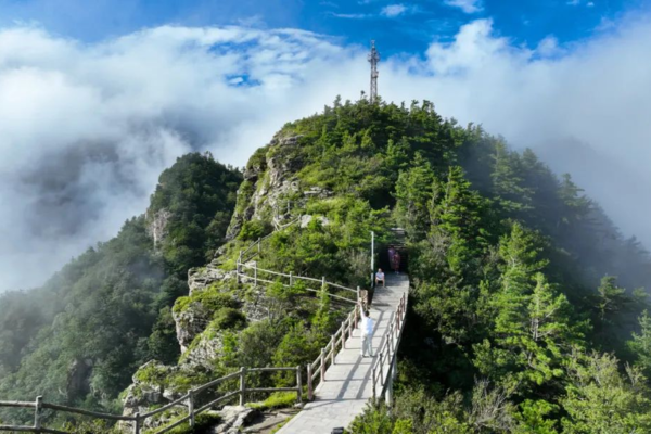 9.7 牛背梁丨游览终南之冠，避暑纳凉，沉浸式感受大自然