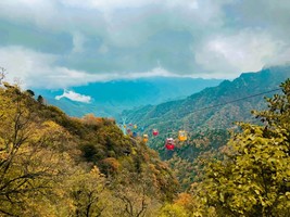 【120天打卡】11.9 朱雀国家森林公园丨赏石海，观草甸，赏朱雀之秋！