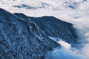 【周二24点前立减20元】12.20 太白山丨含门票&景交，登秦岭最高峰，赏高山红杉林+太白雪景！