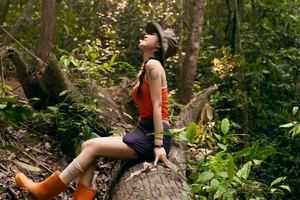 【徒步华夏 · 版纳原始森林徒步5日】3.12 景迈山糯干古寨+翁基古寨+版纳云海日出+曼听公园+基诺山雨林徒步