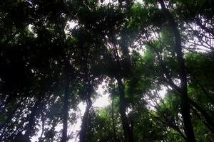 杭州步道联赛视频