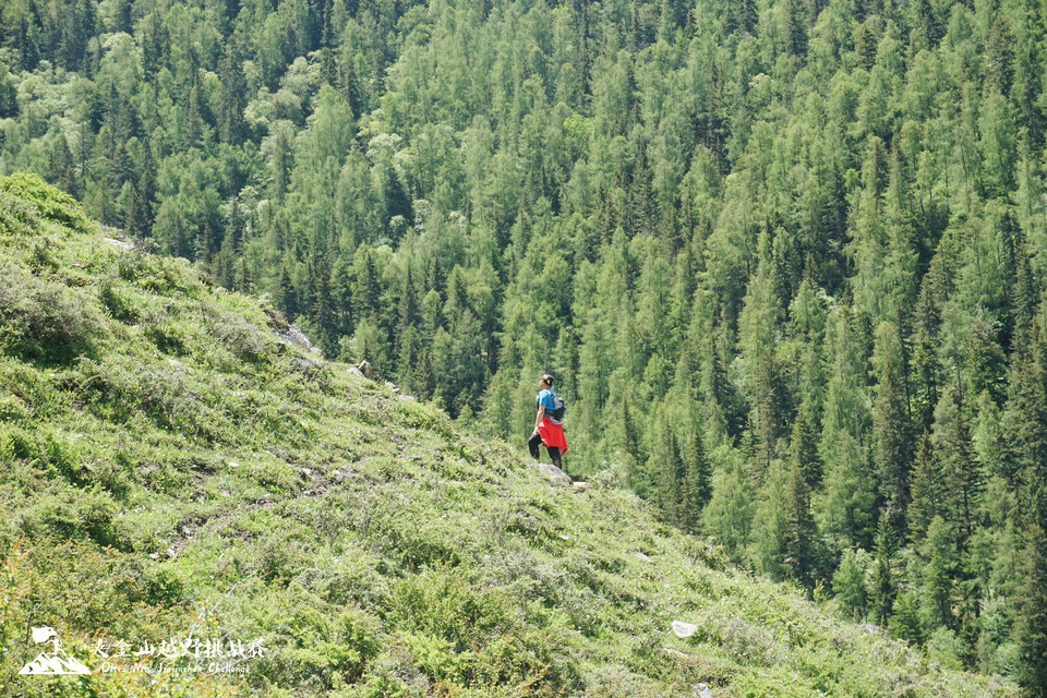 weixintupian_20190617155923