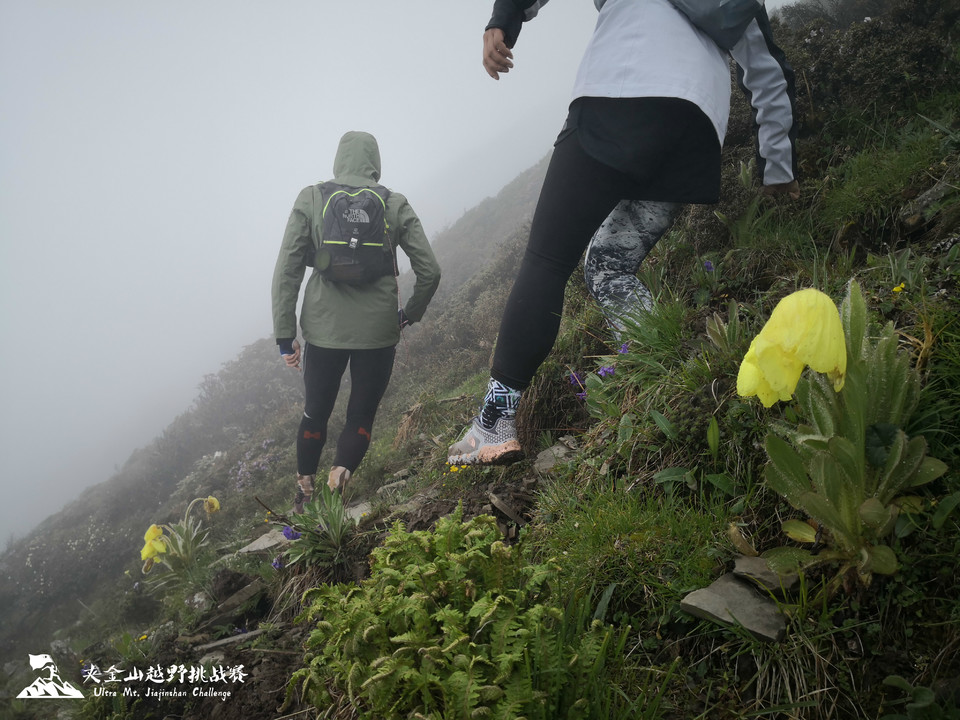 weixintupian_20190623165309