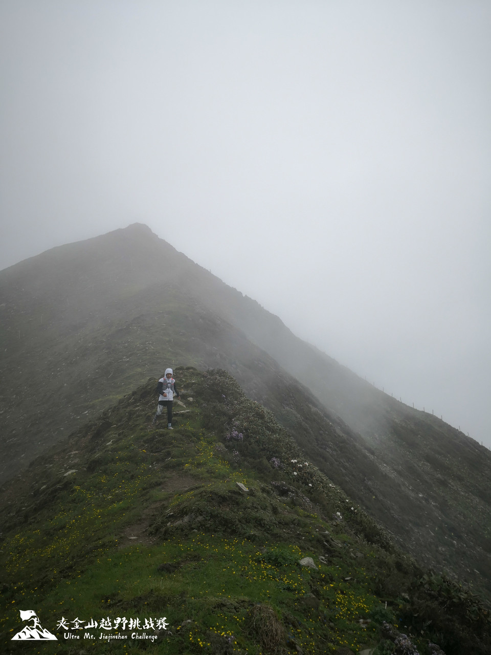 weixintupian_20190623165327