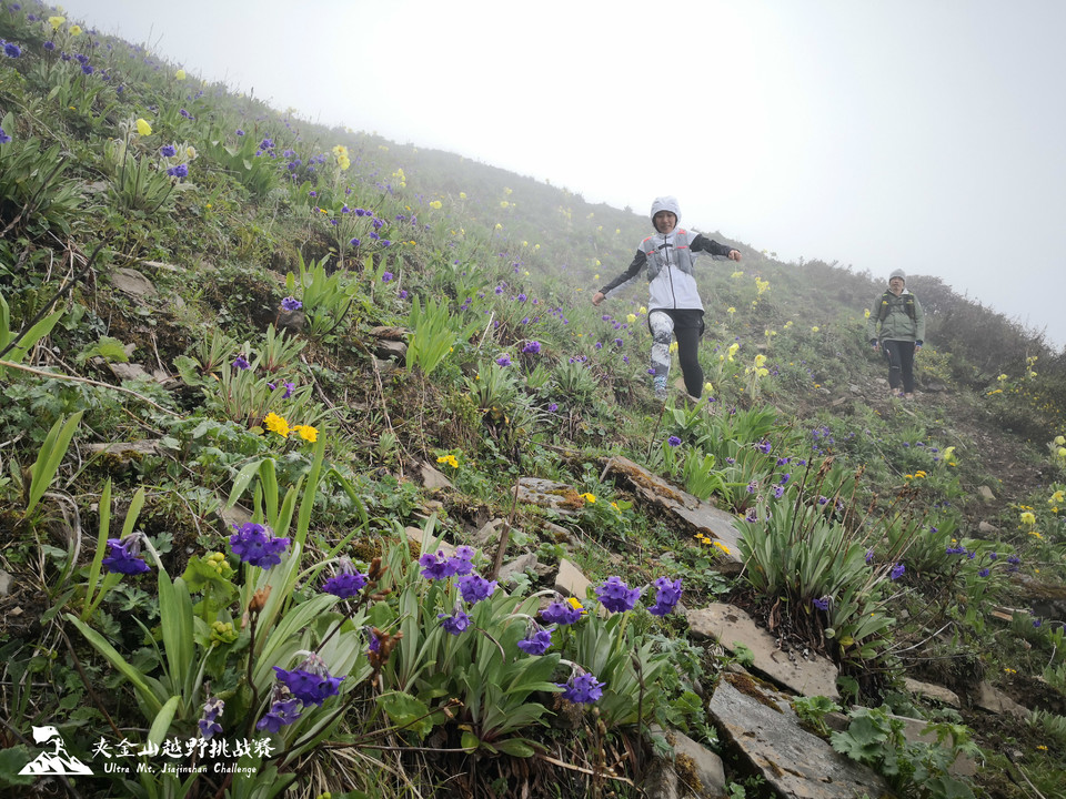 weixintupian_20190623165331