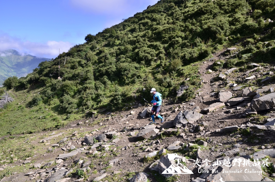 5bcfa28a-1d1d-4654-966c-15fcf324d656