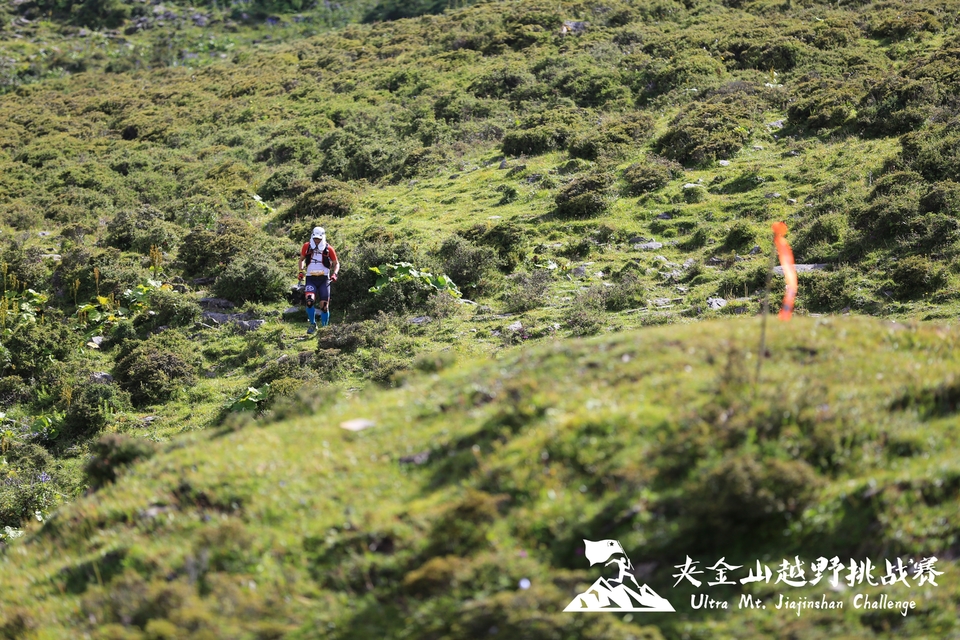 d5623572-aa16-41be-87d4-1330c49686c6