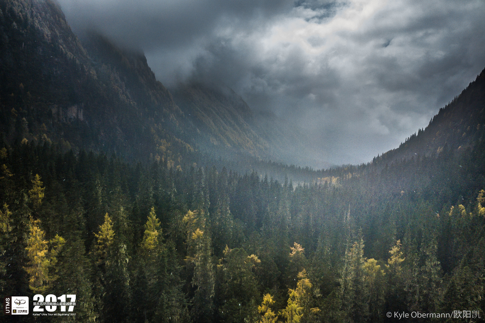 Kyle Obermann UTMS 水印 (1)