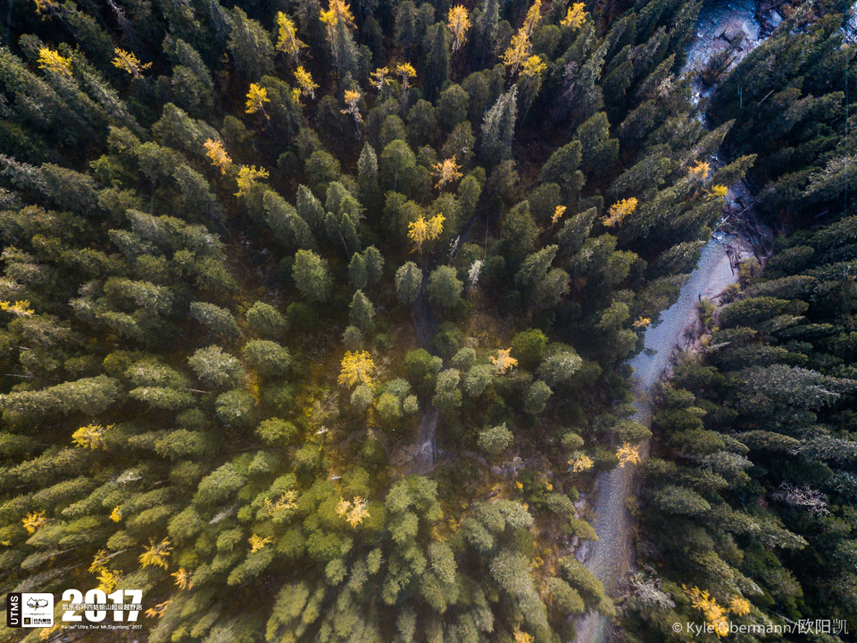 Kyle Obermann UTMS 水印 (81)