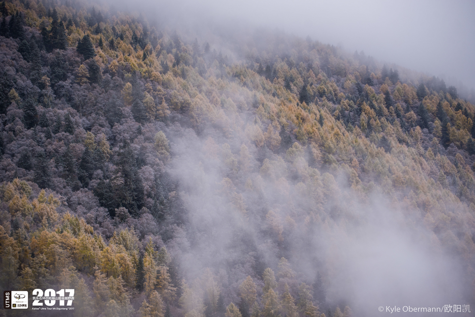 Kyle Obermann UTMS 水印 (171)