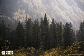 Kyle Obermann UTMS 水印 (174)