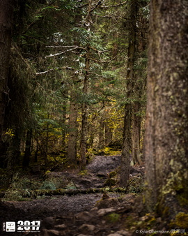 Kyle Obermann UTMS 水印 (176)