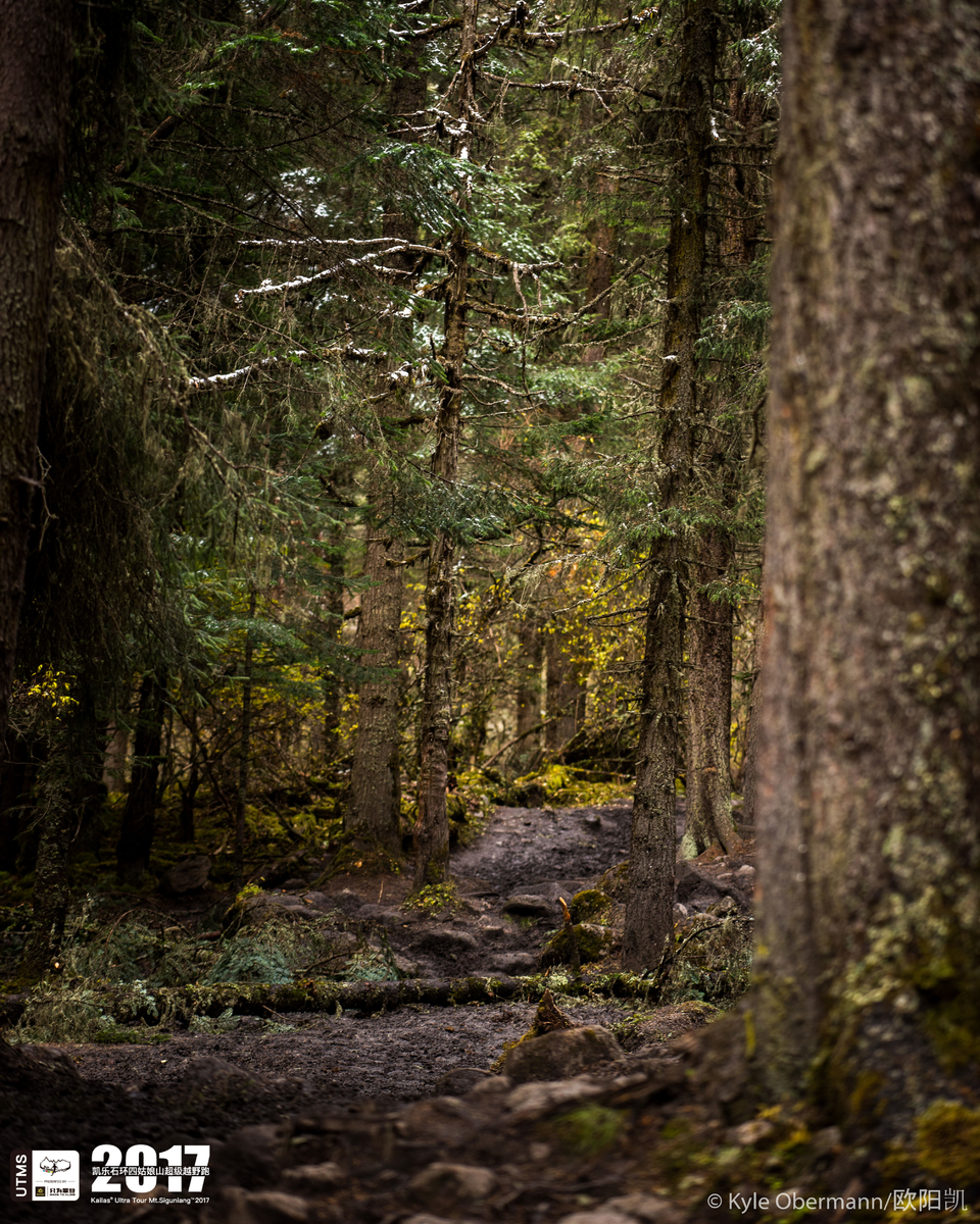 Kyle Obermann UTMS 水印 (176)