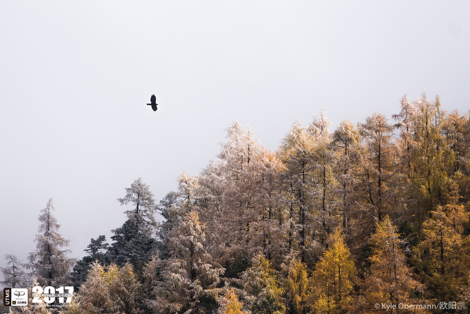 Kyle Obermann UTMS 水印 (178)