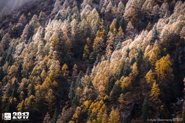 Kyle Obermann UTMS 水印 (179)