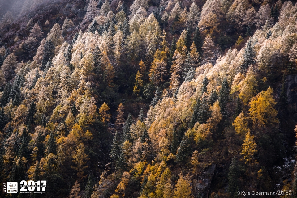 Kyle Obermann UTMS 水印 (179)