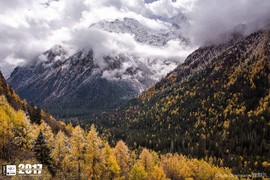 Kyle Obermann UTMS 水印 (181)