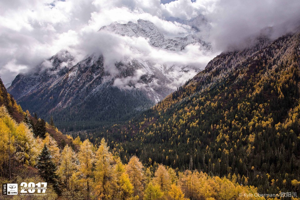 Kyle Obermann UTMS 水印 (181)