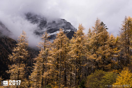 Kyle Obermann UTMS 水印 (182)