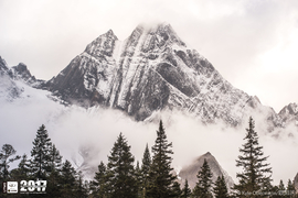 Kyle Obermann UTMS 水印 (185)