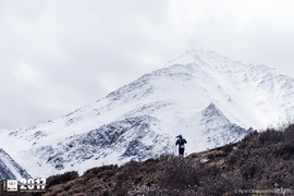 Kyle Obermann UTMS 水印 (324)