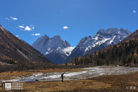 微信图片_20181113161353