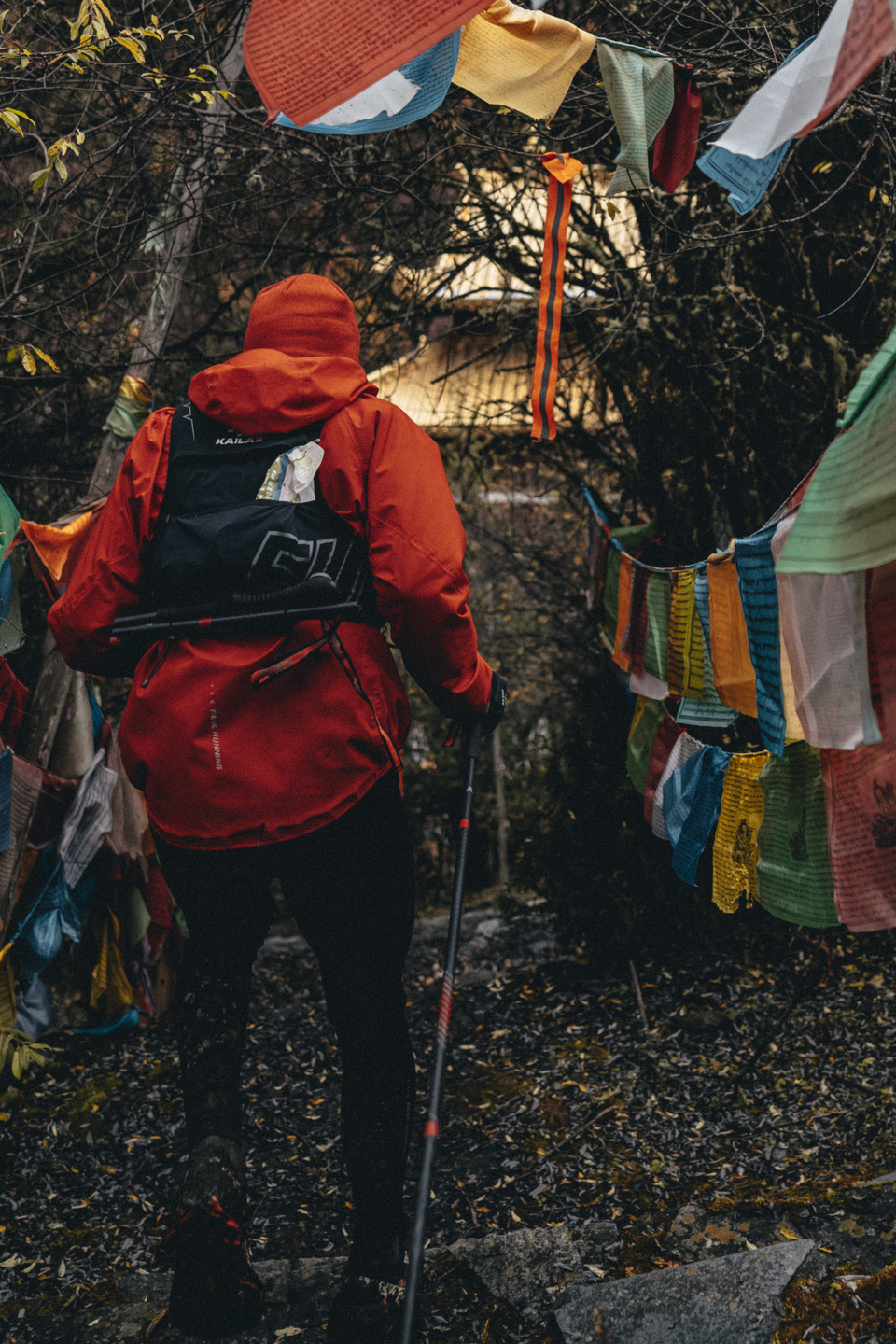 UTMS-kubavision2-148