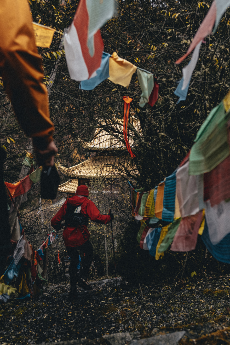 UTMS-kubavision2-149