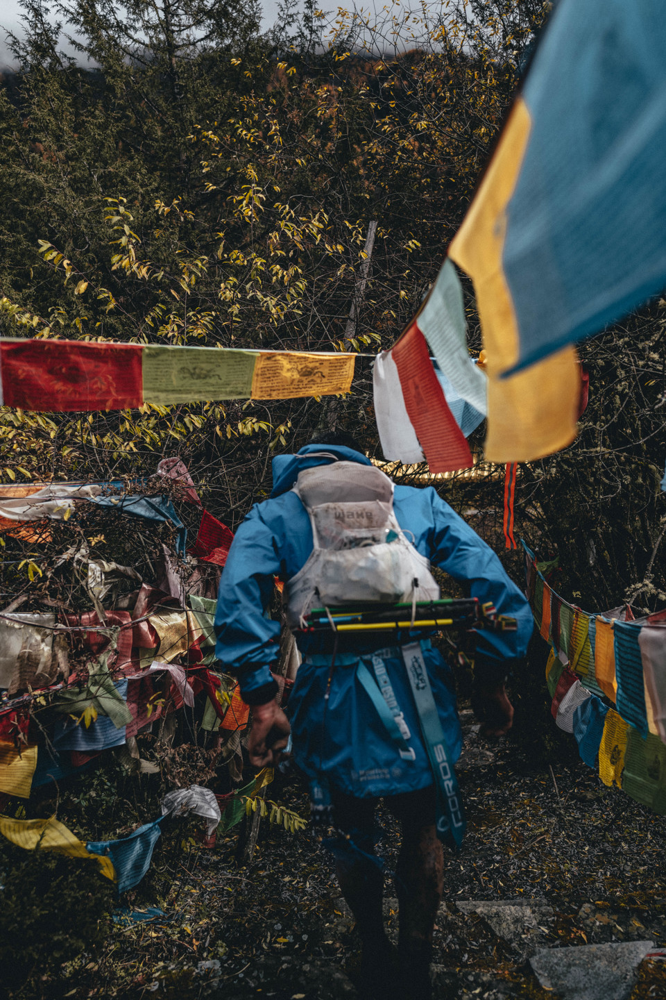 UTMS-kubavision2-152