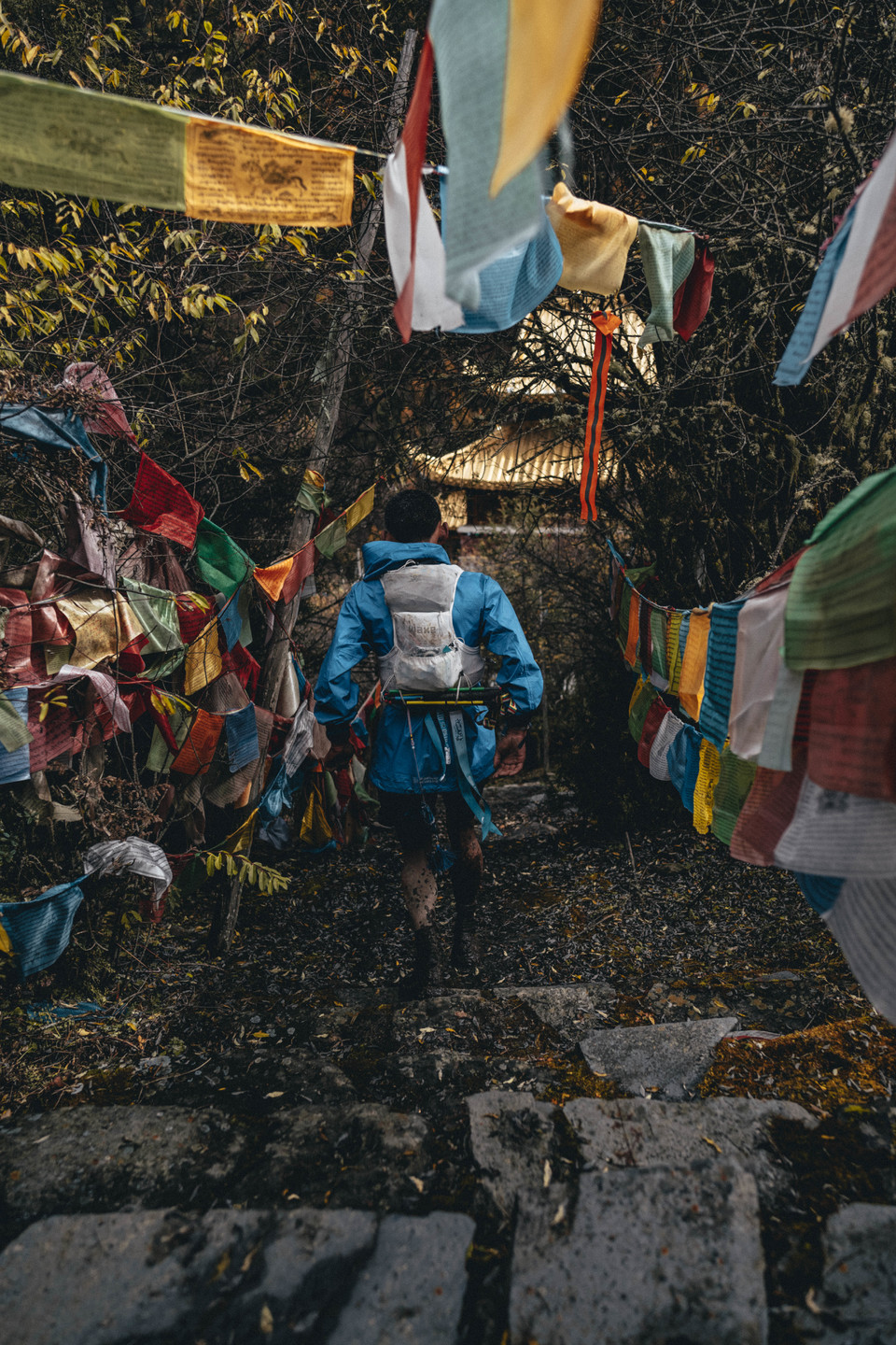 UTMS-kubavision2-153