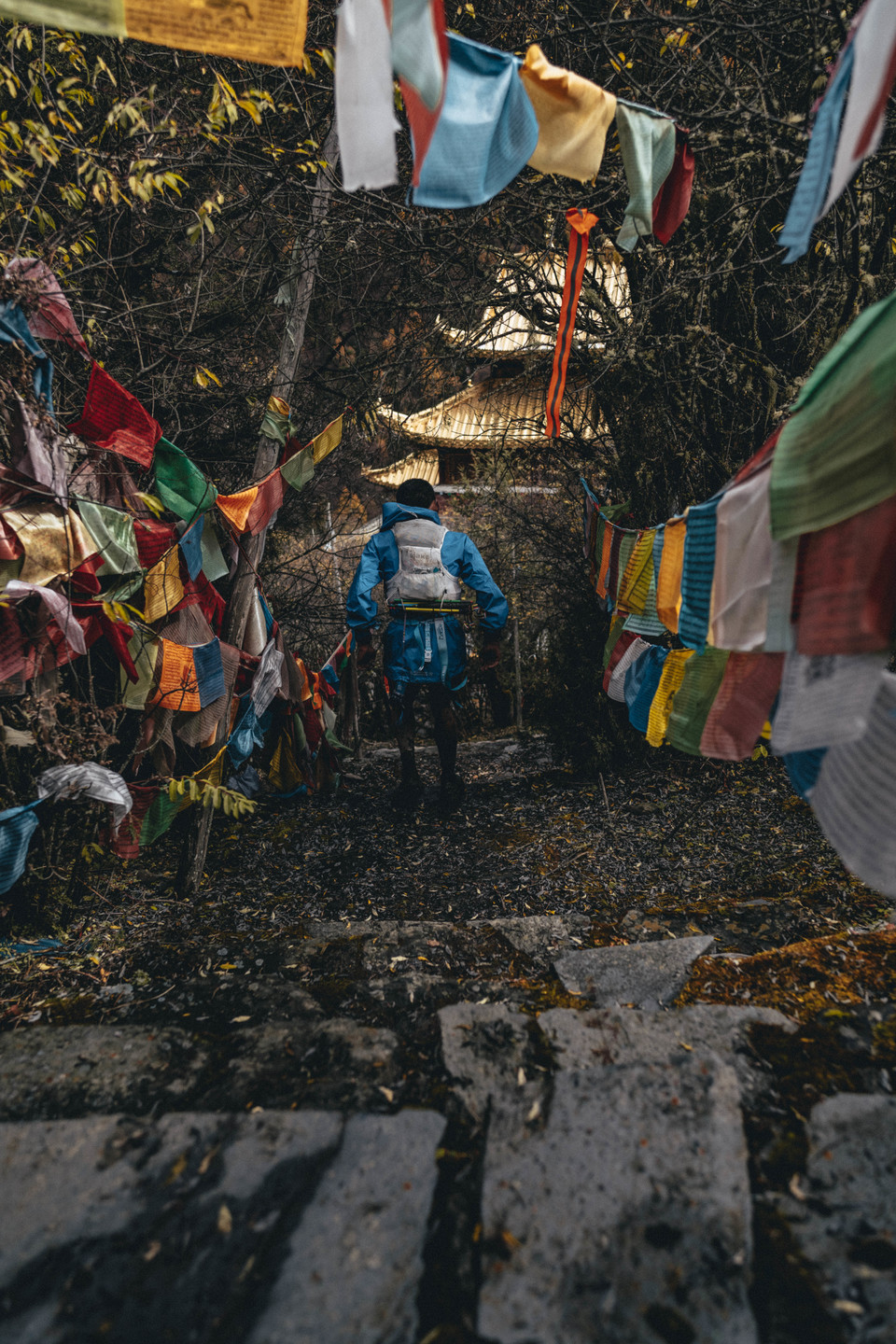 UTMS-kubavision2-154