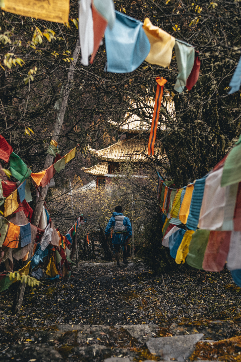 UTMS-kubavision2-155