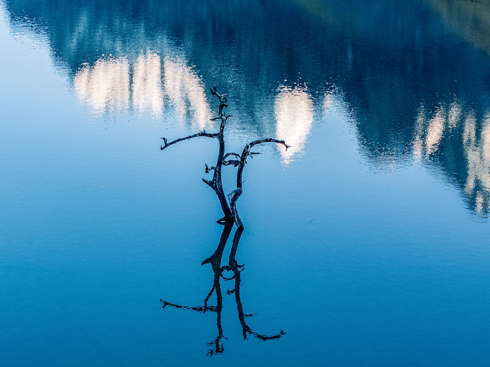 DJI_20241022081025_0306_D