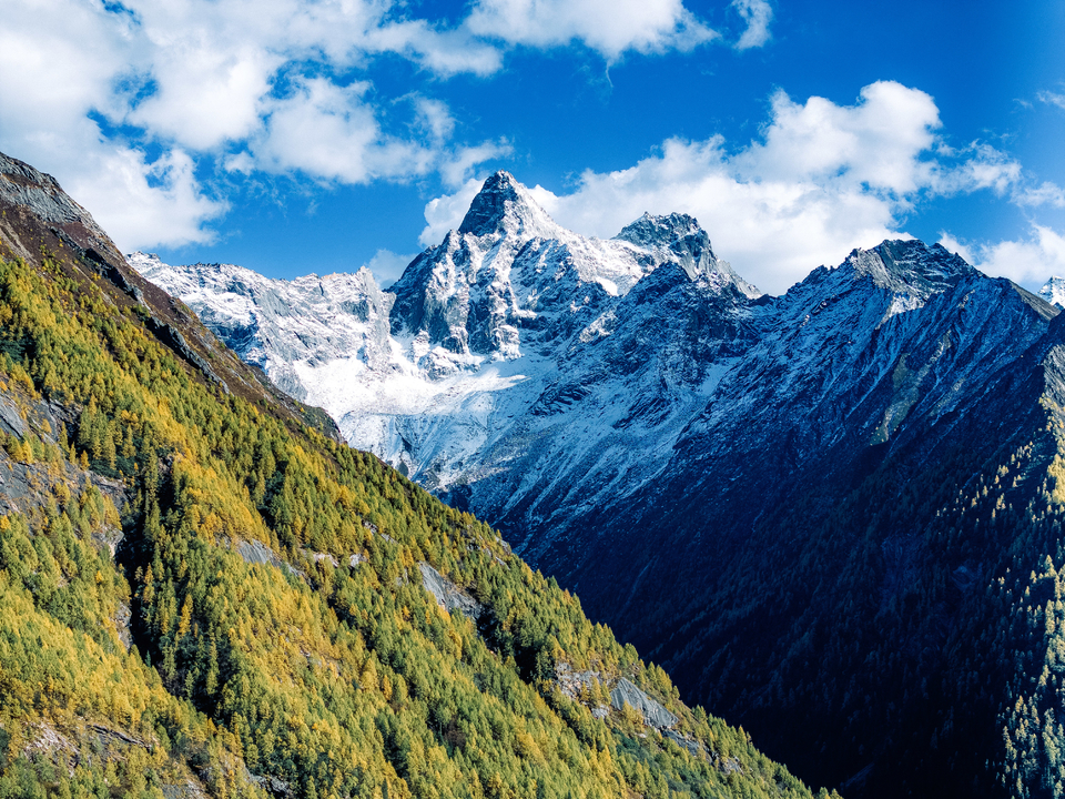 DJI_20241022152932_0442_D