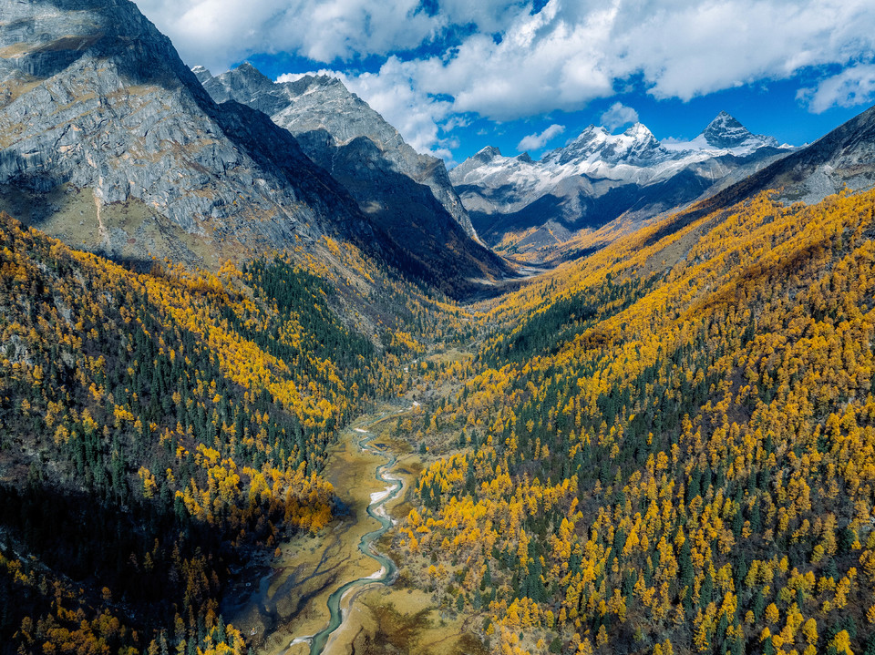 DJI_20241028011136_0593_D