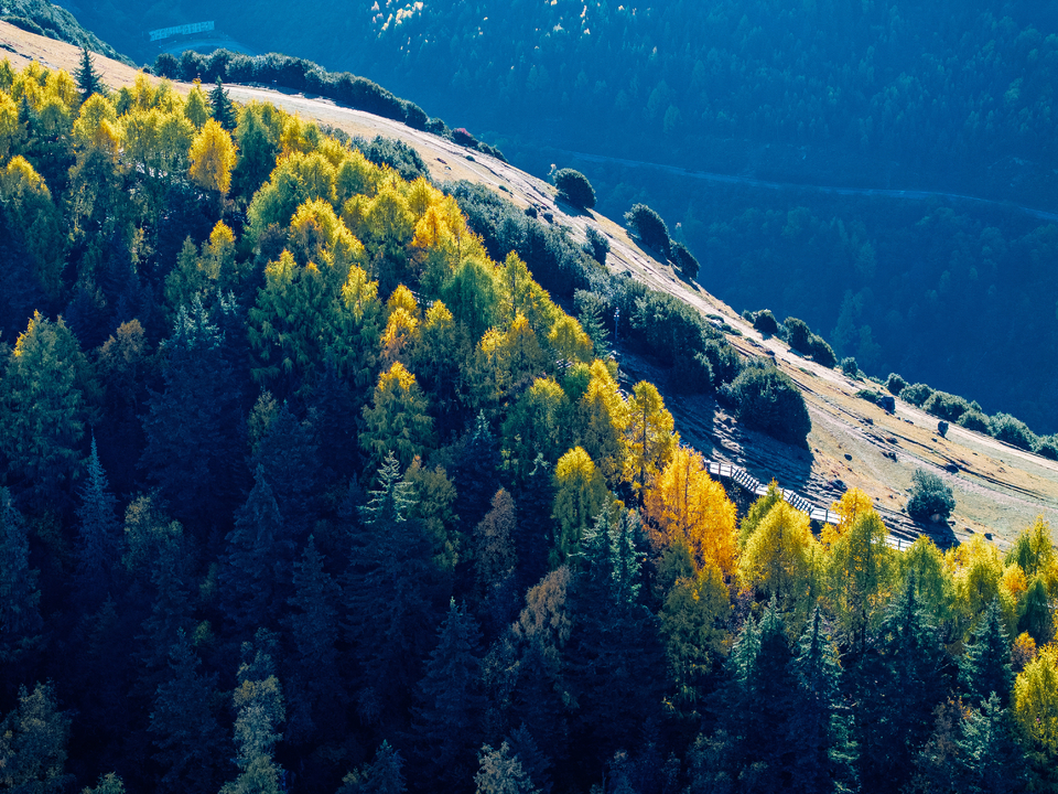 DJI_20241029100953_0008_D