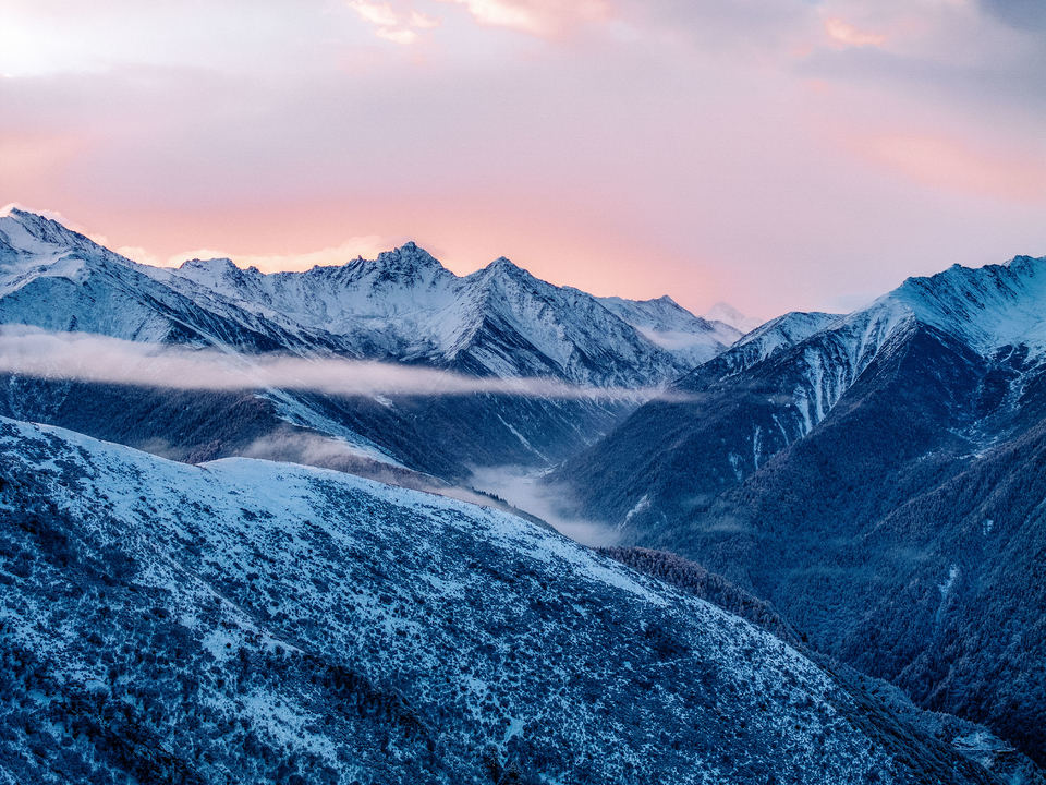 DJI_20241031081441_0143_D-HDR