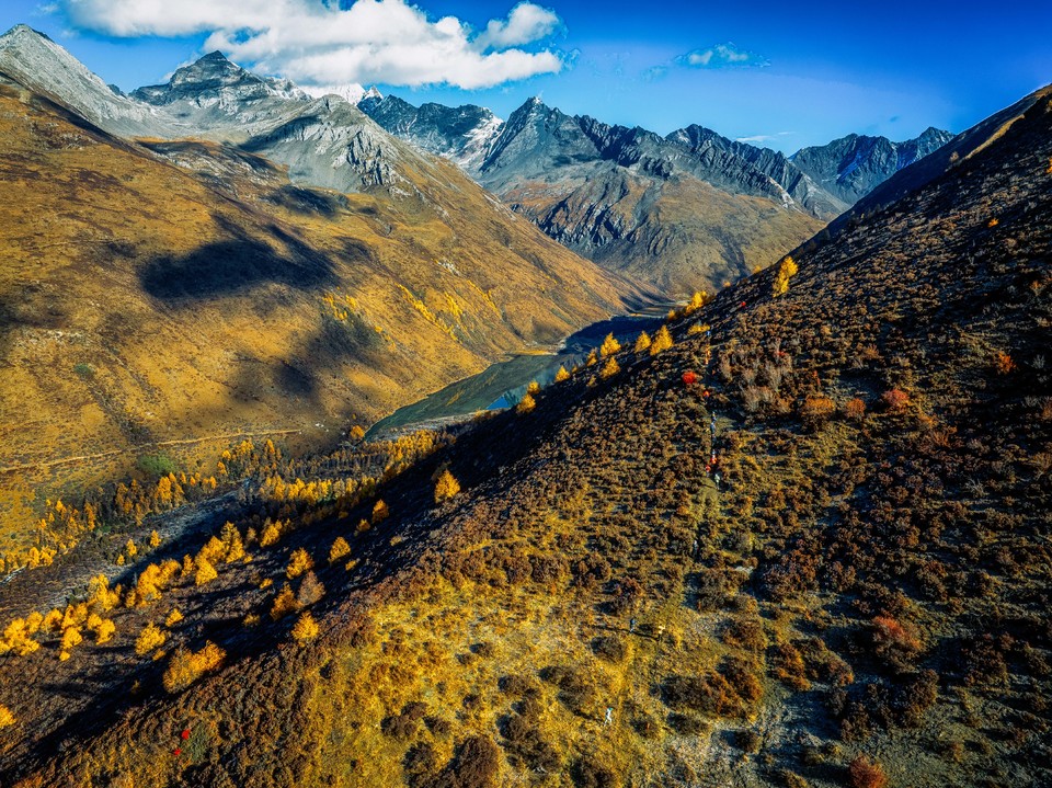 DJI_20241102095834_0038_D-已增强-降噪