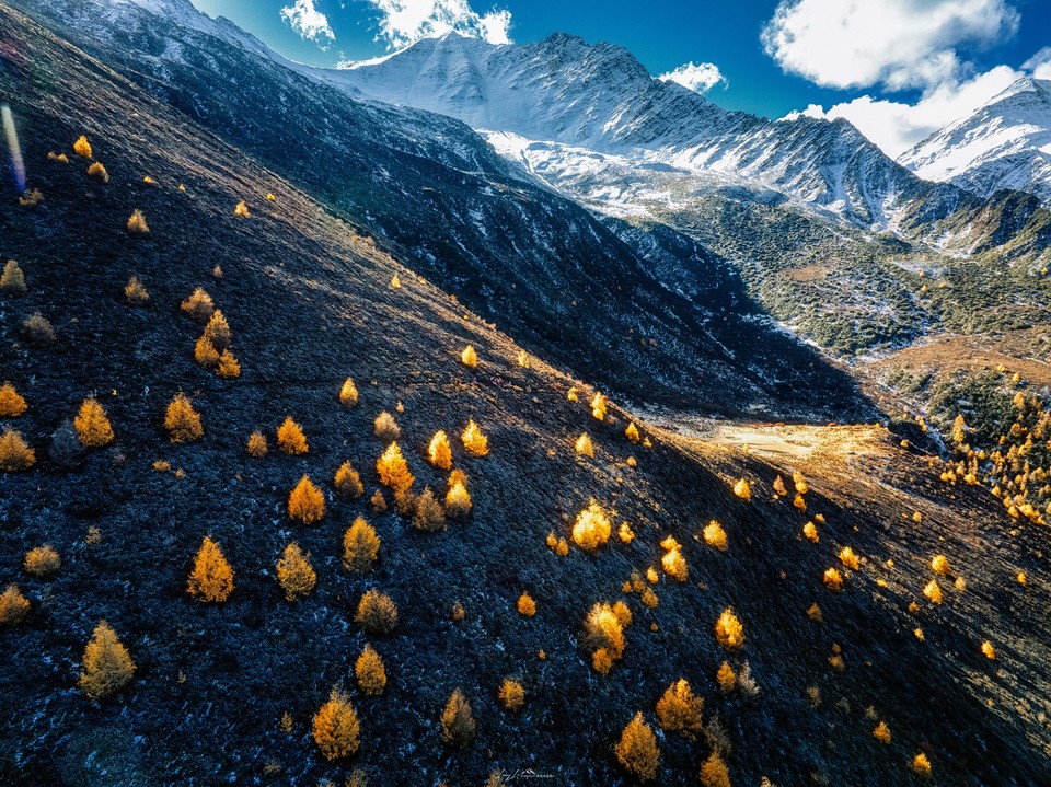 DJI_20241102100236_0068_D-HDR