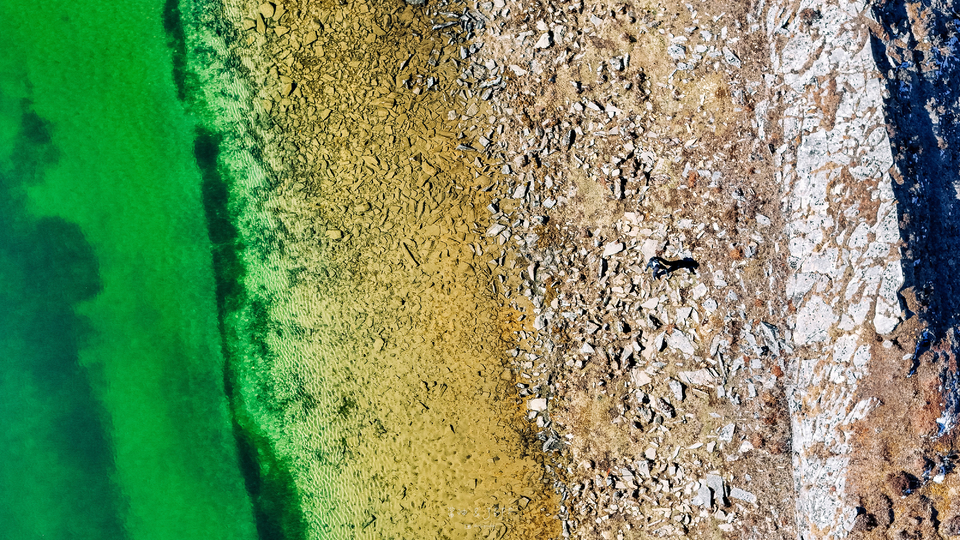 DJI_20241102103238_0118_D