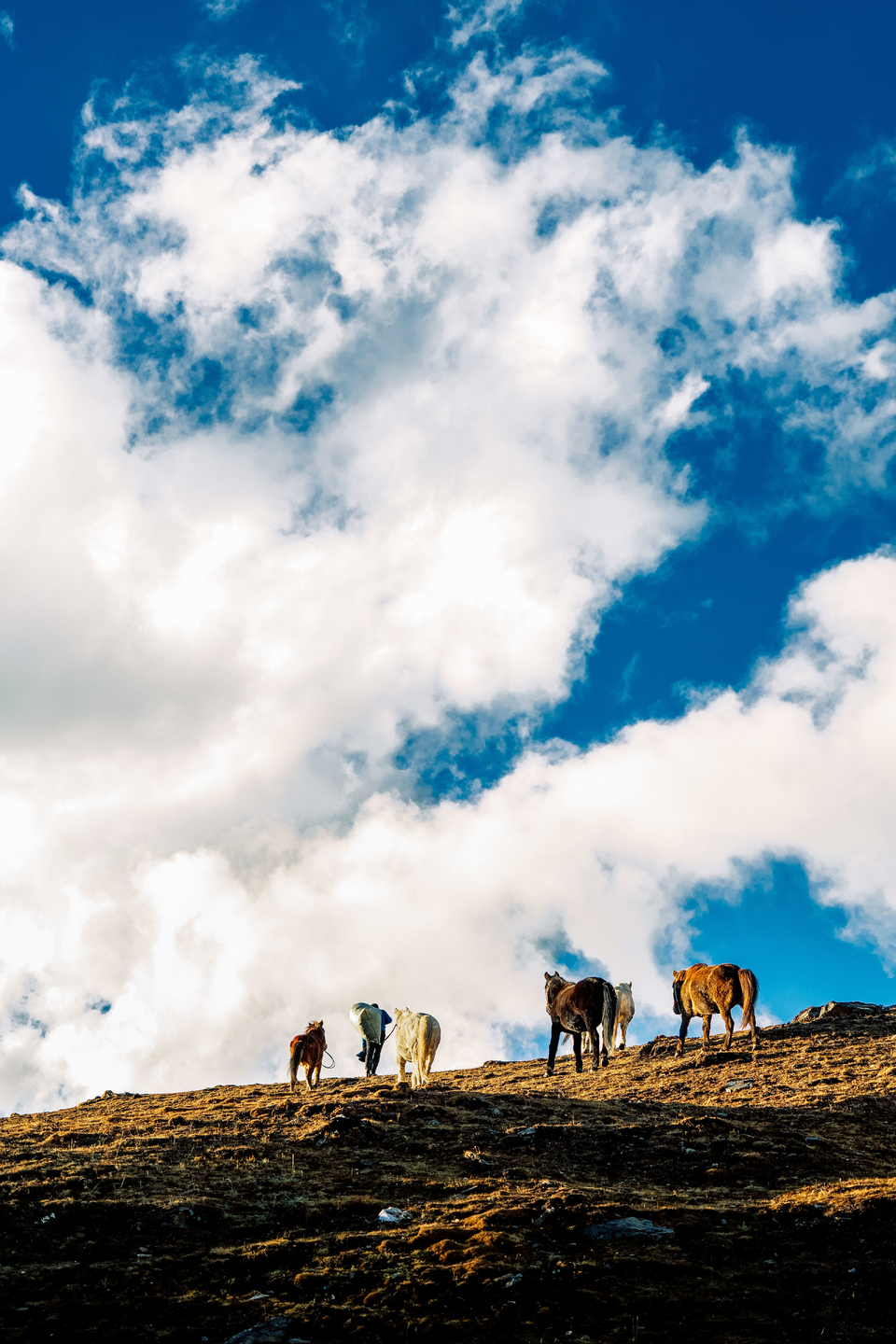 HLJ03932_20241103_143557