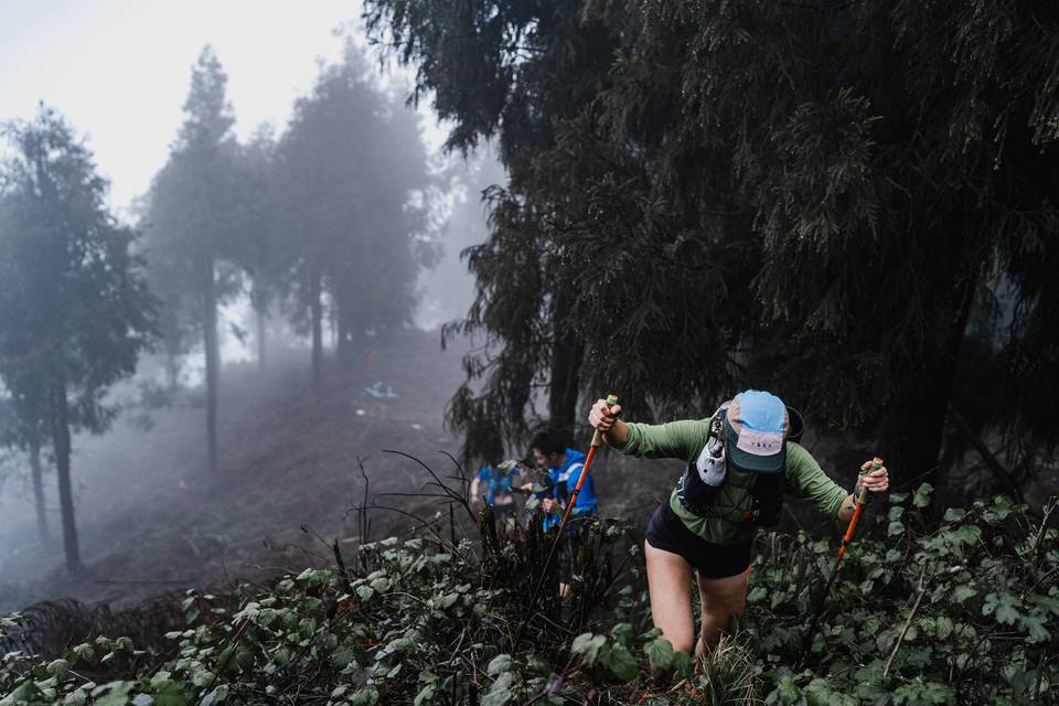 微信图片_20250312113922