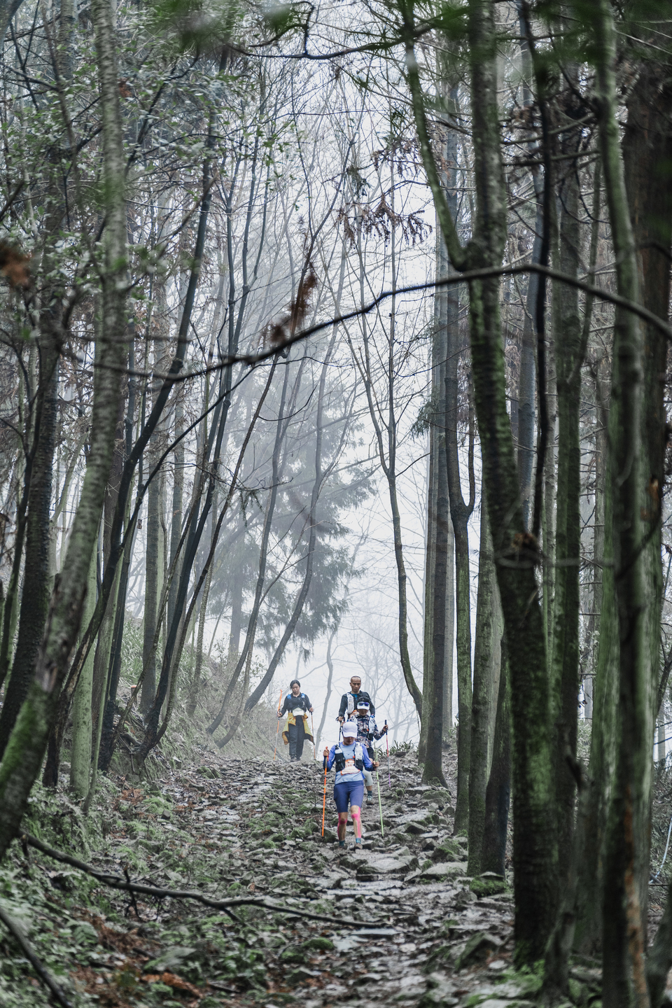 微信图片_20250312113957